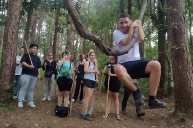 From Chiang Mai: Doi Inthanon Park & Pha Dok Siew Waterfall Hike - Authentic Experiences and Tips from Reviewers