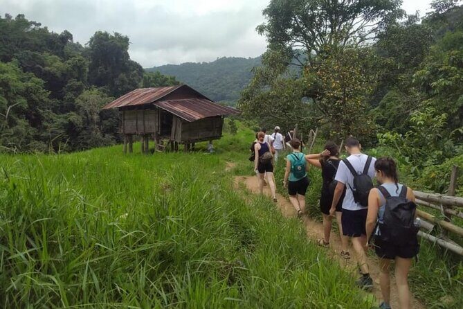 From Chiang Mai: Doi Inthanon Park & Pha Dok Siew Waterfall Hike - FAQ