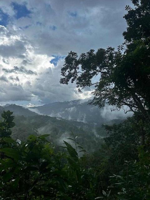 From Chiang Mai: Doi Saket Hiking Tour With Lunch - Customer Reviews