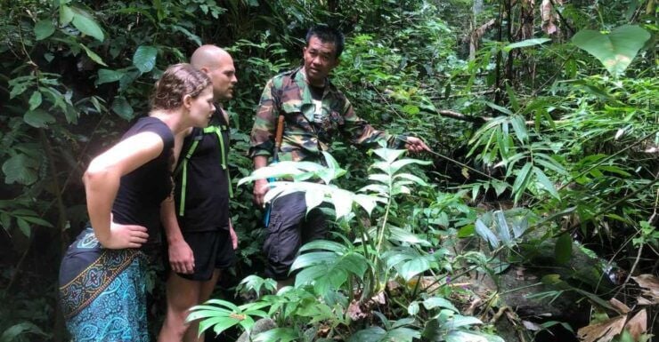 From Chiang Mai: Doi Saket Hiking Tour With Lunch - Experience Highlights