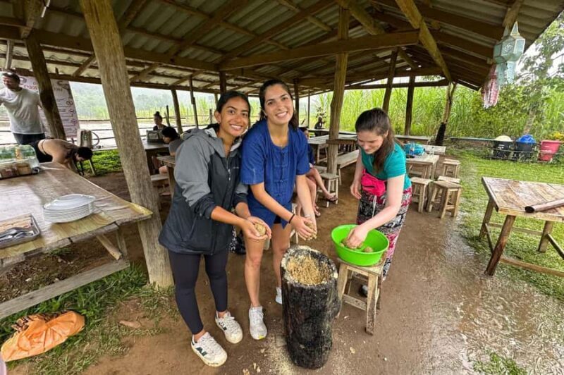 From Chiang Mai: Elephant Sanctuary & Pad Thai Workshop - Exploring the Experience in Detail