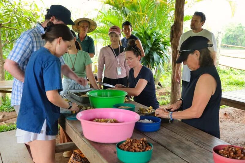 From Chiang Mai: Elephant Sanctuary & Pad Thai Workshop - FAQs