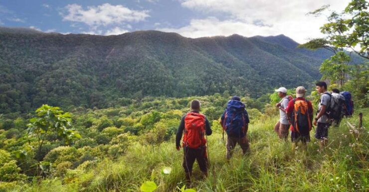 From Chiang Mai: High Mountain Day Trek - Activity Information