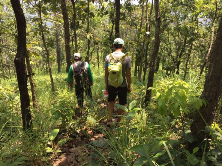 From Chiang Mai: High Mountain Day Trek - Experience Details