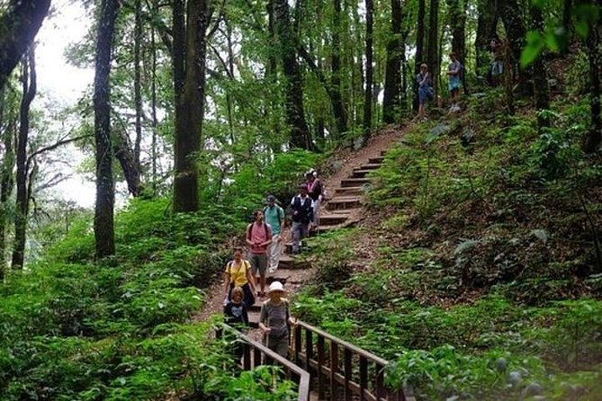 From Chiang Mai: Inthanon National Park 9-Hour Group Tour - Pricing and Terms