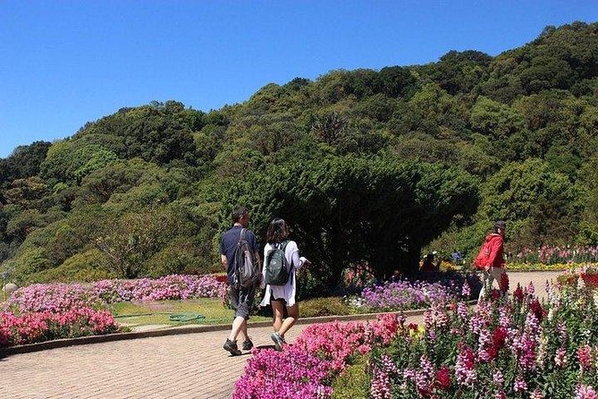 From Chiang Mai: Inthanon National Park 9-Hour Group Tour - Background
