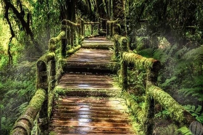 From Chiang Mai: Inthanon National Park 9-Hour Group Tour - Common Questions