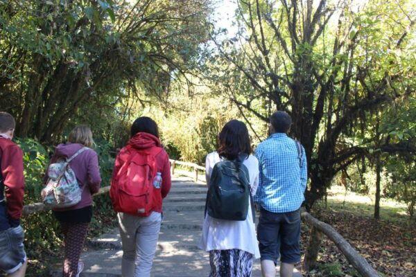 From Chiang Mai: Inthanon National Park 9-Hour Group Tour - Common Questions