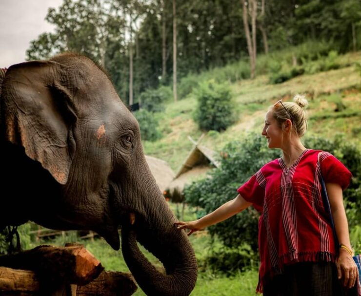 From Chiang Mai: Kerchor Eco Elephant Park Tour - Itinerary Highlights