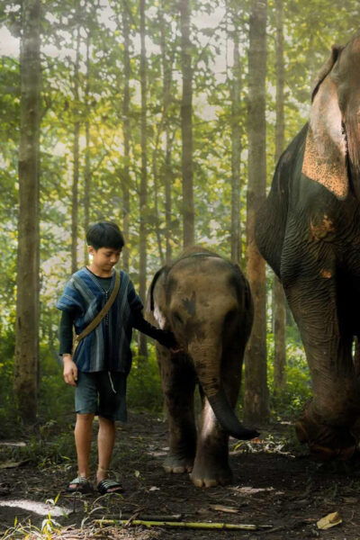 From Chiang Mai: Kerchor Eco Elephant Park Tour - Break Down