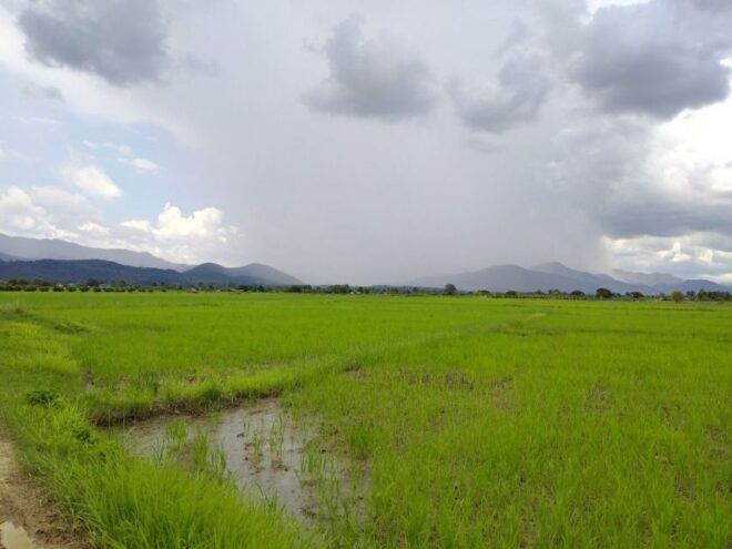 From Chiang Mai: Leisure Bike and Kayak Excursion - Additional Information