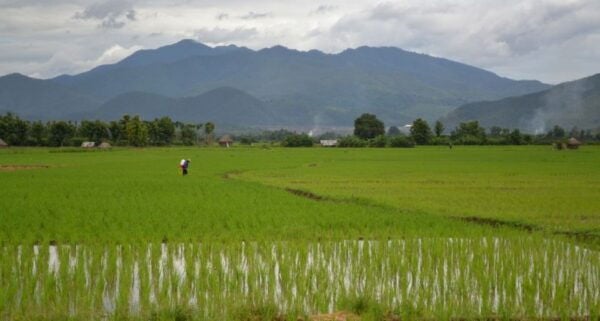 From Chiang Mai: Mae Taeng Valley and Waterfalls Cycle Tour - Common Questions