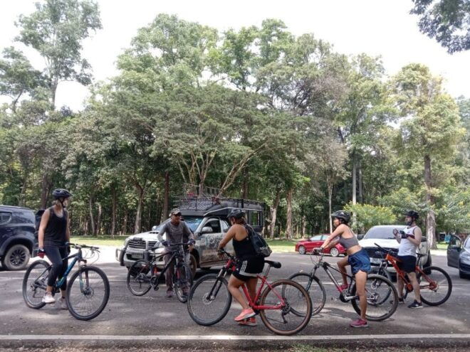 From Chiang Mai: Sticky Waterfall Hike & Mountain Bike Ride - Helpful Reviews