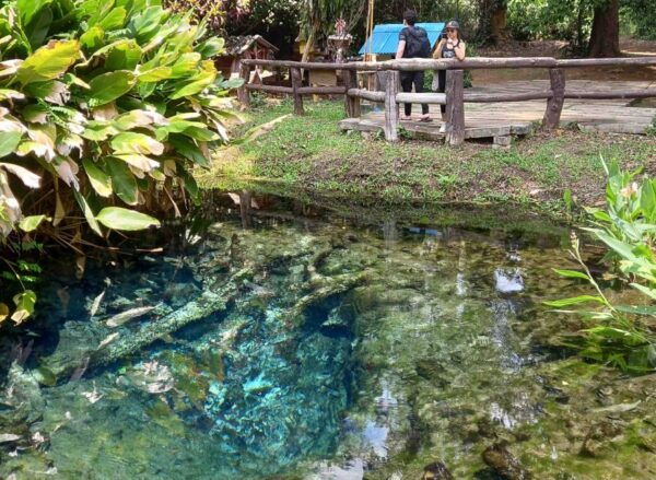 From Chiang Mai: Sticky Waterfall Hike & Mountain Bike Ride - Common Questions