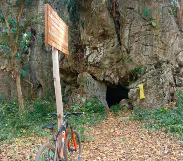 From Chiang Mai: Sticky Waterfall Hike & Mountain Bike Ride - The Sum Up