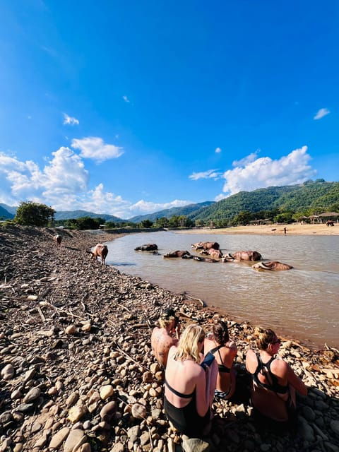 From Chiang Mai: Waterfall, Tubing, & Elephant Half-Day Tour - Customer Feedback