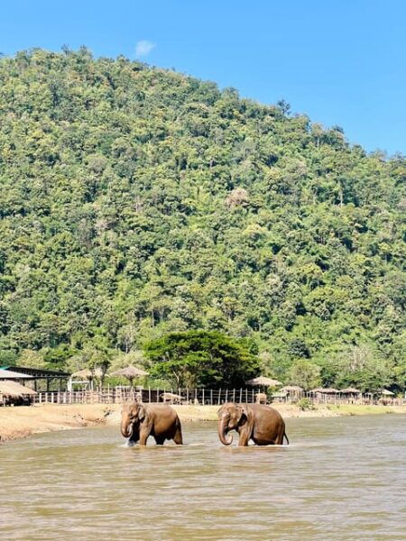 From Chiang Mai: Waterfall, Tubing, & Elephant Half-Day Tour - Nearby Attractions