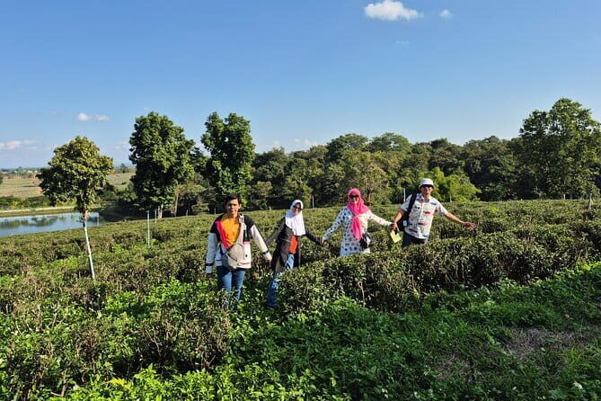 From Chiang Rai: 7 wonder Full-Day Tour and Thai Buffet lunch - Final thoughts