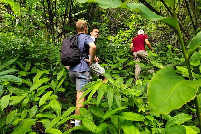 From Chiang Rai Jungle Adventure Group Trekking Bamboo Cooking - Good To Know