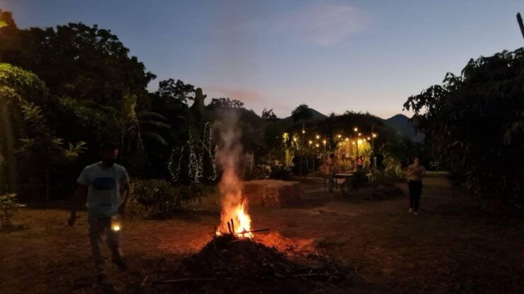 From Chiangmai:Lamphun Organic Farm and Chef's Table Dinner - Activity Details