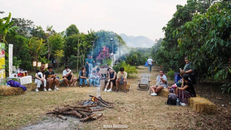 From Chiangmai:Lamphun Organic Farm and Chef's Table Dinner - Highlights