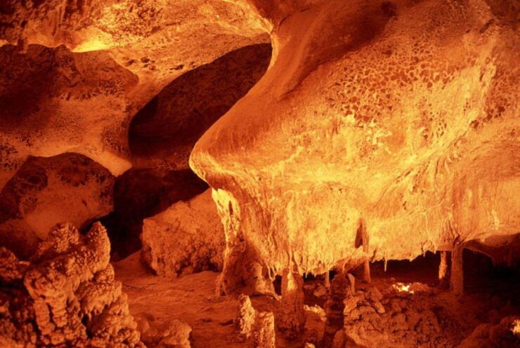 From Chihuahua: Coyame Caves Tour - Tour Guide Information