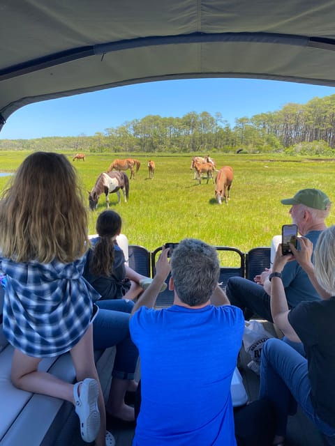 From Chincoteague: Pony and Wildlife Boat Tour - Captains Expertise