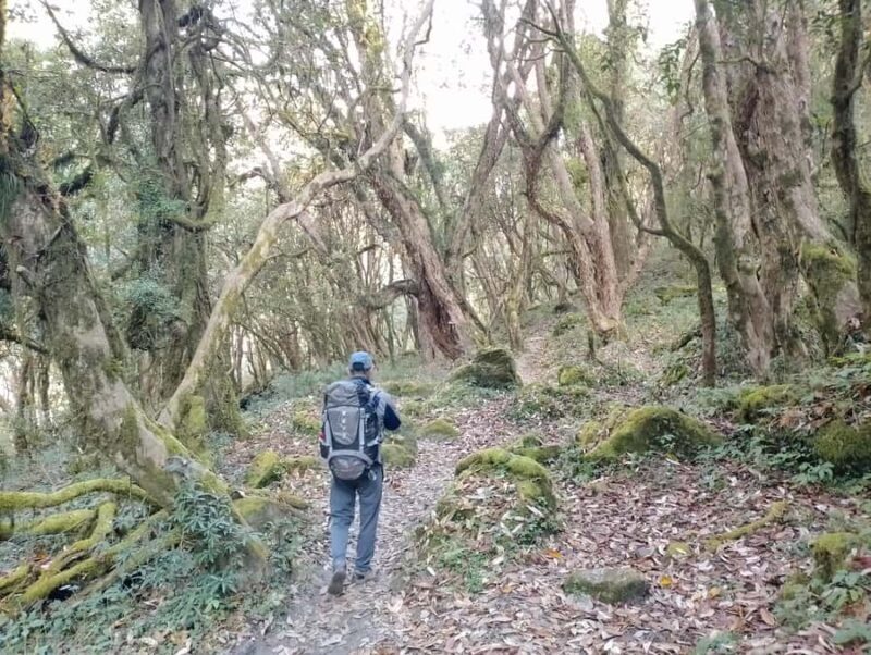 From Chitwan: 5-Day Poon Hill, Ghandruk Sunrise Trek - Day 4: Ghandruk and Descent to Pokhara