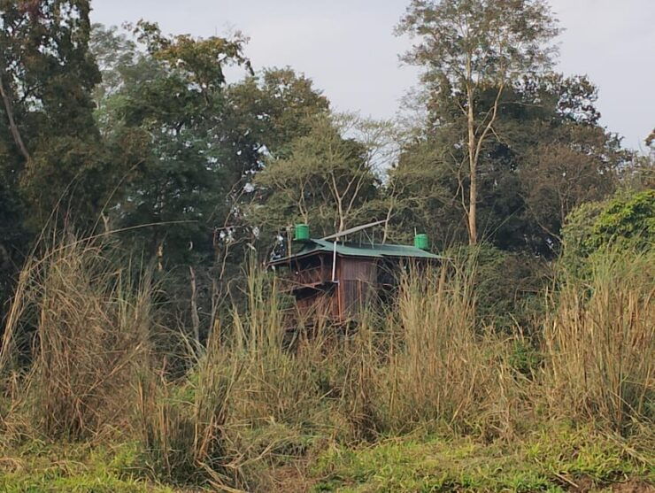 From Chitwan: Half Day Jeep Safari & Canoeing Day Tour - Key Points