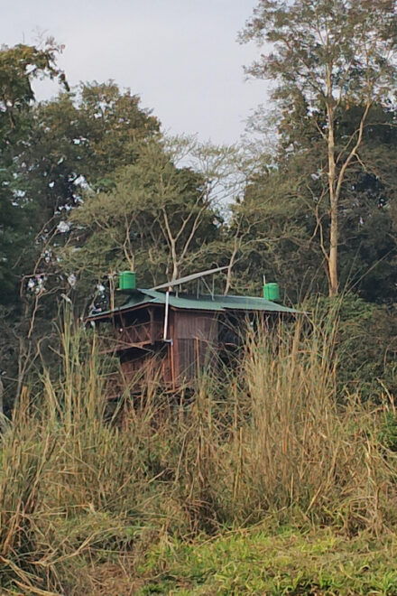 From Chitwan: Half Day Jeep Safari & Canoeing Day Tour - Exclusions to Consider