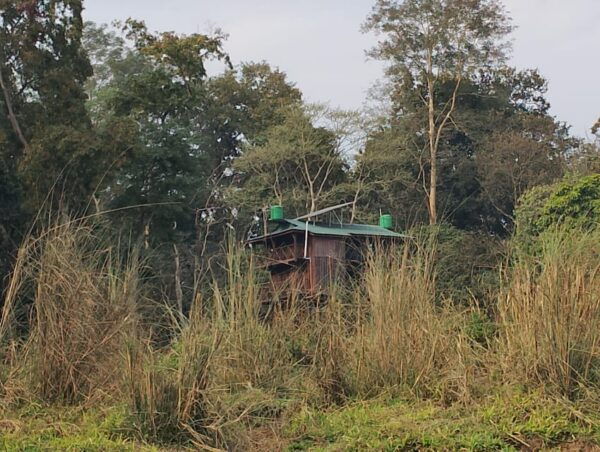 From Chitwan: Half Day Jeep Safari & Canoeing With Guide - Wildlife Sightings
