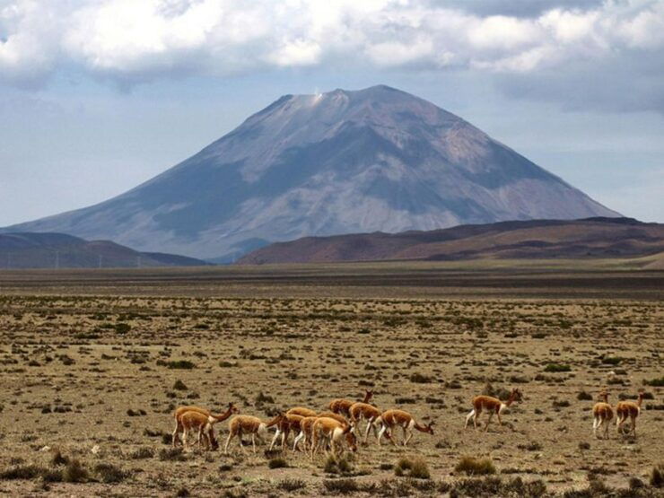 From Chivay: Route From Chivay (Colca) to the City of Puno - Scenic Stops Along the Route