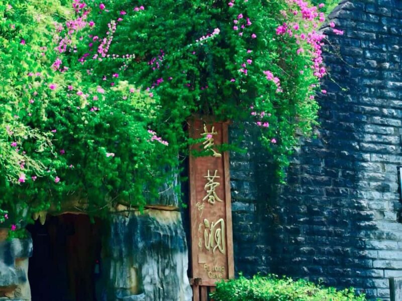 From Chongqing: Furong Cave & River Private Day Trip - Final Thoughts