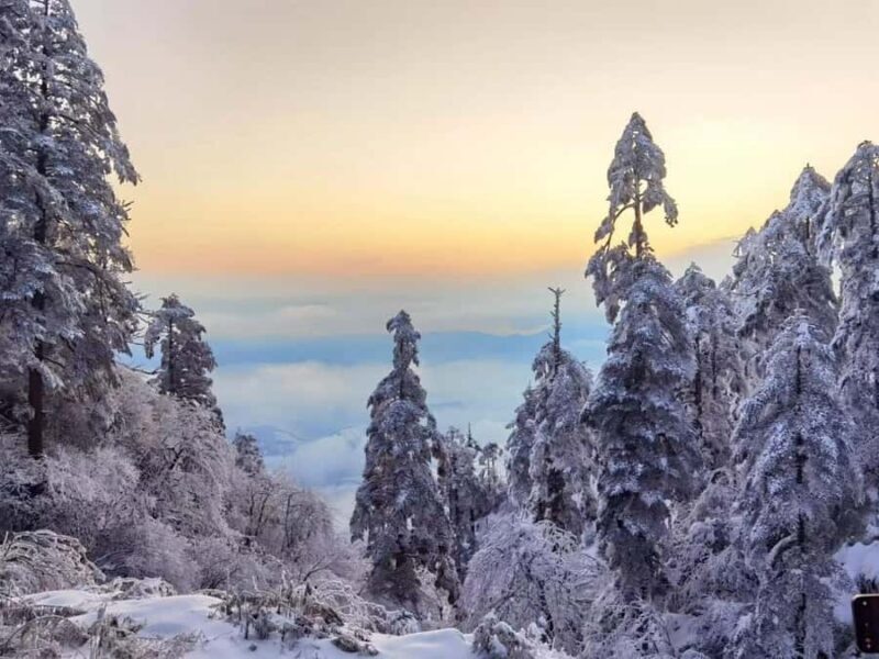 From Chongqing: Wawu Mountain 2-Day Winter Scenic Tour - An Authentic Look at the Wawu Mountain 2-Day Tour