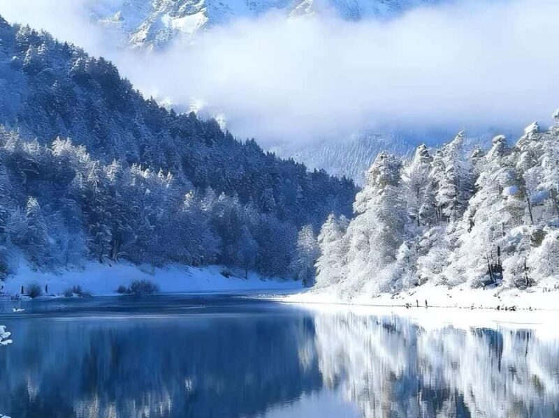 From Chongqing Winter 2-Day Bipenggou Snow Tour - Who Should Consider This Tour?