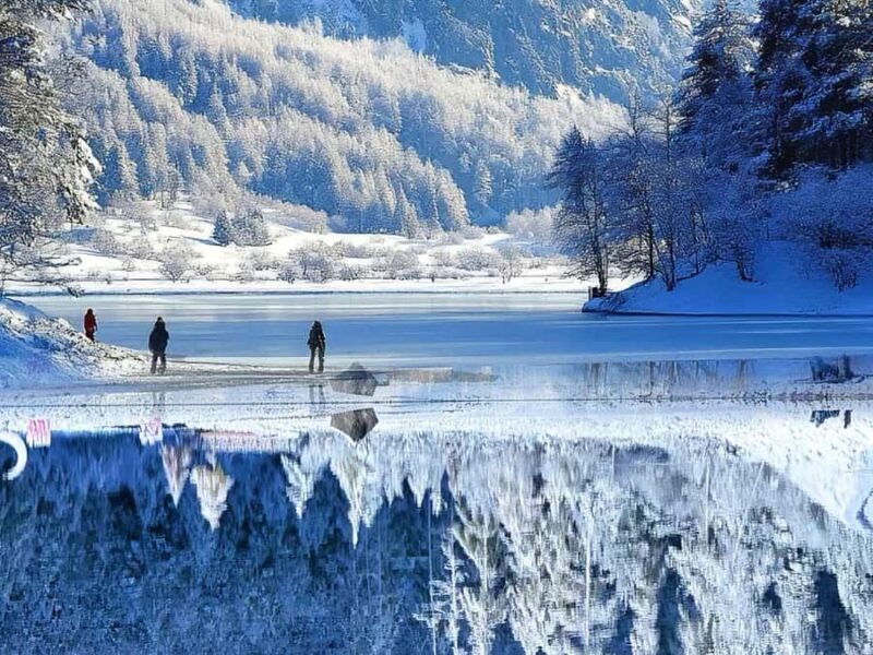 From Chongqing Winter 2-Day Bipenggou Snow Tour - Good To Know