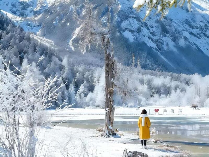 From Chongqing Winter 2-Day Bipenggou Snow Tour - Transportation & Group Experience