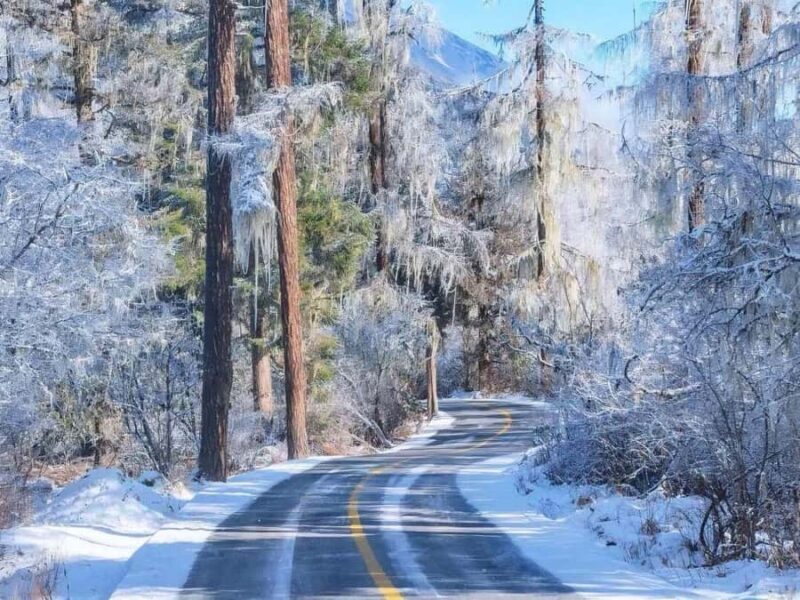 From Chongqing Winter 2-Day Bipenggou Snow Tour - Final Thoughts