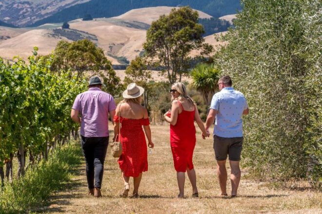 From Christchurch: Full-Day Wine Tour With Lunch - Full Description