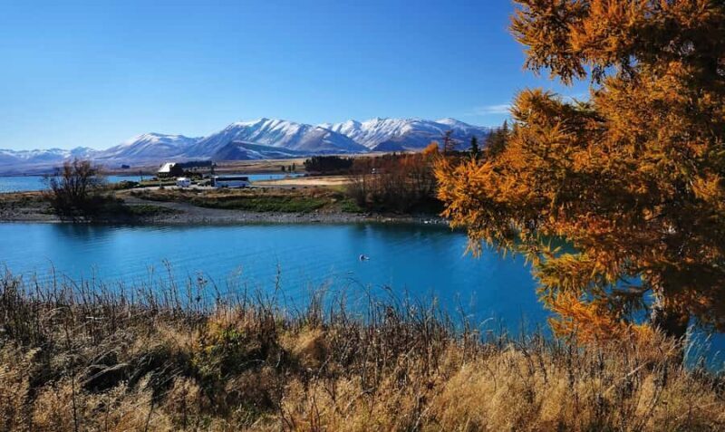 From Christchurch: Queenstown via Tekapo & Mt Cook Day Trip - Kawarau Gorge & Queenstown’s Edge  