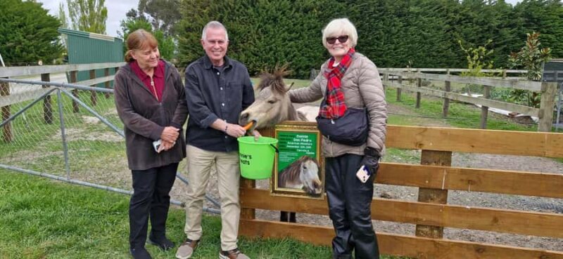 From Christchurch: Sheep Farm Experience with Lunch & Winery - A Detailed Look at the Experience