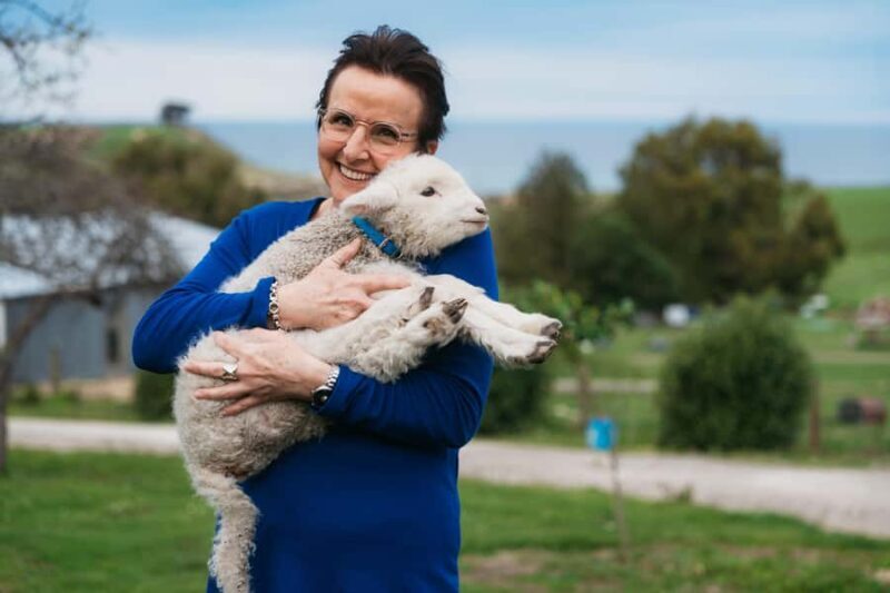 From Christchurch: Sheep Farm Experience with Lunch & Winery - Authentic Insights from Reviews