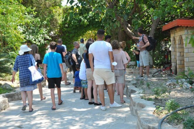 From City of Side: Cabrio Bus Safari & Boat Tour With Lunch - Transportation and Logistics