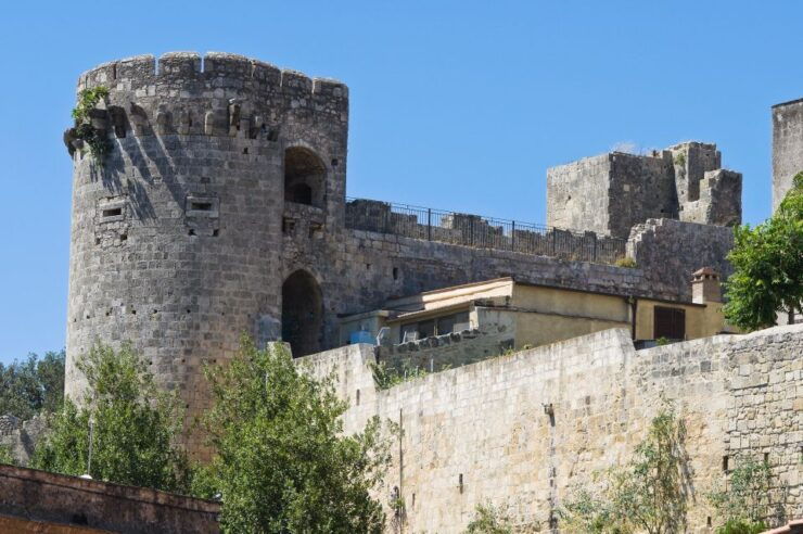 From Civitavecchia: Etruscan Tarquinia Tour From the Port - Tour Details and Features