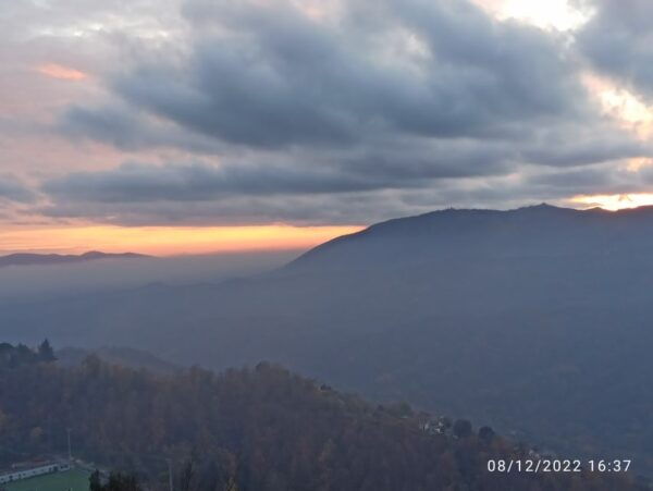 From Civitavecchia: Private Cruise Shore Excursion to Rome - Customer Reviews