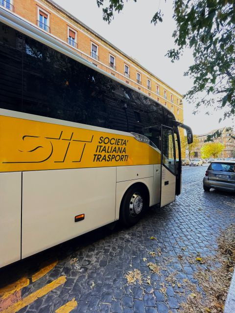 From Civitavecchia: Transfer to Rome & Guided Walking Tour - Highlights