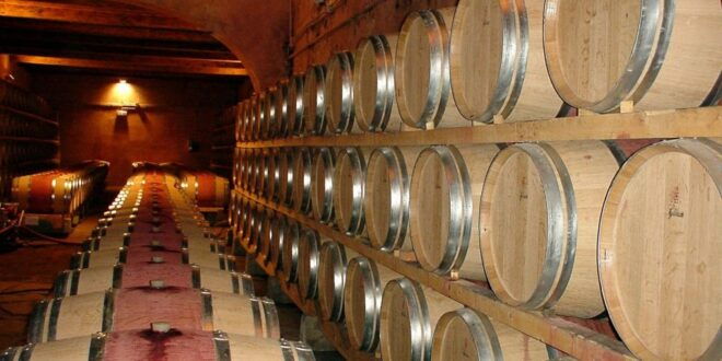 From Civitavecchia: Tuscany-Latium Wine Tour With Tastings - Guide and Cellar Selection