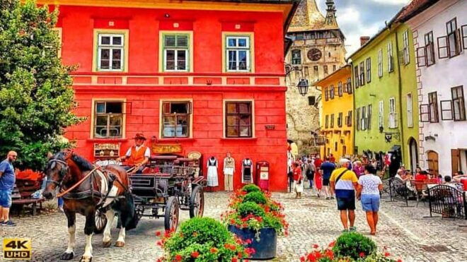 FROM CLUJ: 3 DAY TOUR - HISTORY, UNESCO, WILDLIFE - Day 1 Highlights