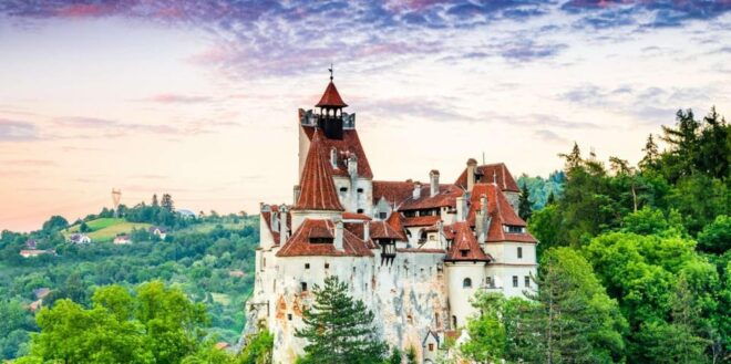 FROM CLUJ: 3 DAY TOUR - HISTORY, UNESCO, WILDLIFE - Day 2 Highlights
