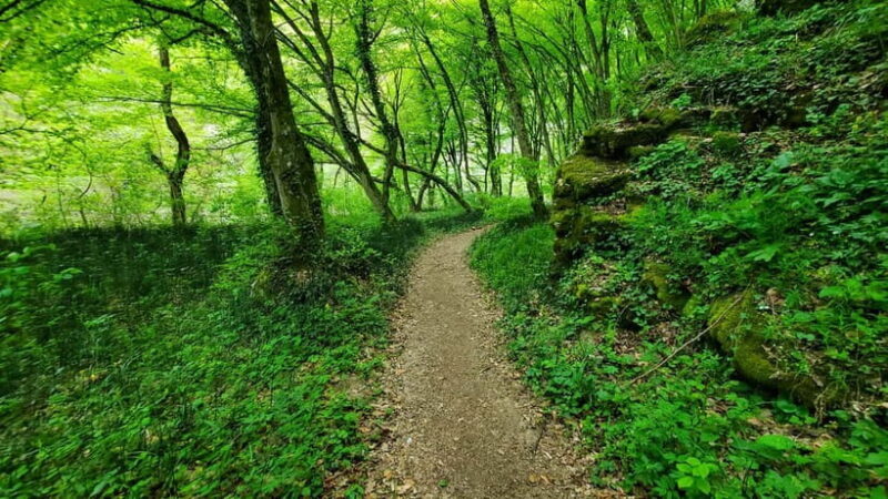 From Cluj: Gorges of Crisul Repede River - FAQ